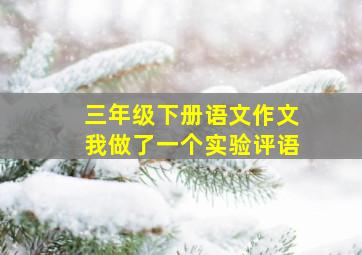 三年级下册语文作文我做了一个实验评语