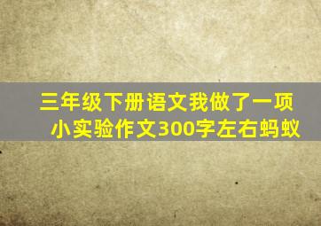 三年级下册语文我做了一项小实验作文300字左右蚂蚁