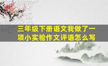 三年级下册语文我做了一项小实验作文评语怎么写