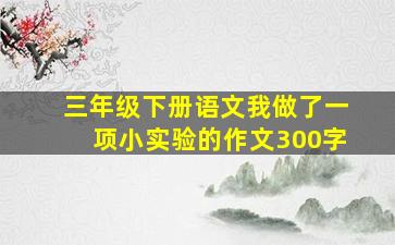 三年级下册语文我做了一项小实验的作文300字