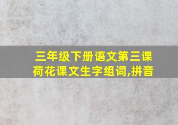 三年级下册语文第三课荷花课文生字组词,拼音