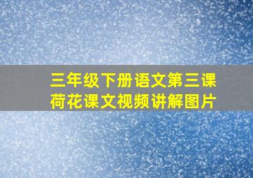 三年级下册语文第三课荷花课文视频讲解图片