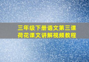 三年级下册语文第三课荷花课文讲解视频教程