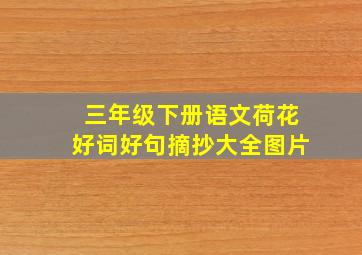 三年级下册语文荷花好词好句摘抄大全图片