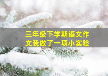 三年级下学期语文作文我做了一项小实验