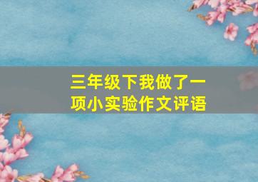 三年级下我做了一项小实验作文评语