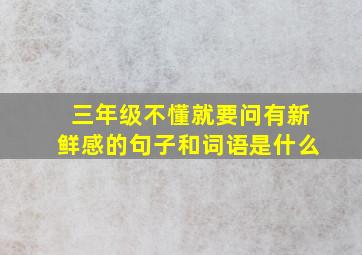 三年级不懂就要问有新鲜感的句子和词语是什么