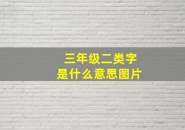 三年级二类字是什么意思图片