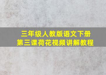 三年级人教版语文下册第三课荷花视频讲解教程