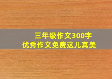 三年级作文300字优秀作文免费这儿真美