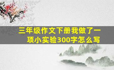 三年级作文下册我做了一项小实验300字怎么写