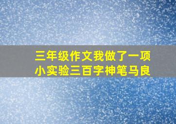 三年级作文我做了一项小实验三百字神笔马良