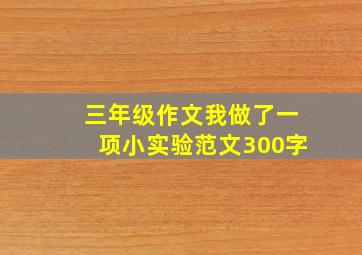 三年级作文我做了一项小实验范文300字