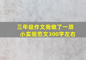 三年级作文我做了一项小实验范文300字左右