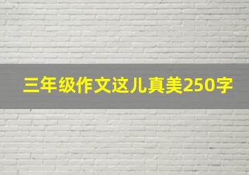 三年级作文这儿真美250字