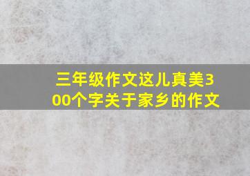 三年级作文这儿真美300个字关于家乡的作文