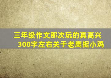 三年级作文那次玩的真高兴300字左右关于老鹰捉小鸡