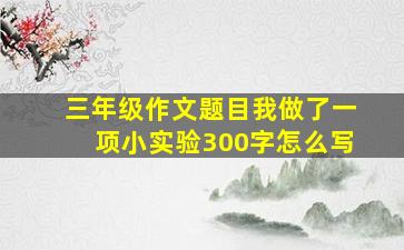 三年级作文题目我做了一项小实验300字怎么写