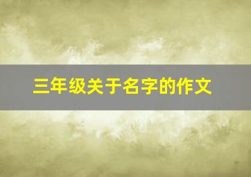 三年级关于名字的作文