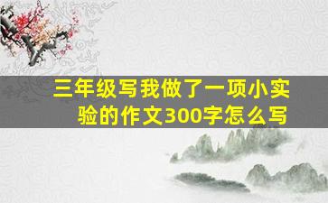 三年级写我做了一项小实验的作文300字怎么写