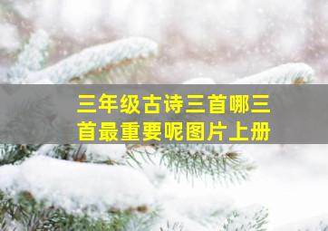 三年级古诗三首哪三首最重要呢图片上册