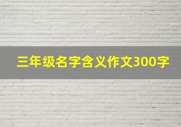 三年级名字含义作文300字