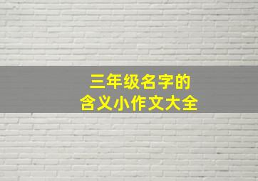 三年级名字的含义小作文大全