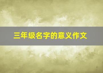 三年级名字的意义作文