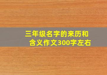 三年级名字的来历和含义作文300字左右