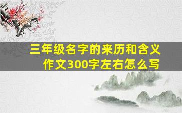 三年级名字的来历和含义作文300字左右怎么写