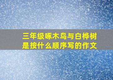 三年级啄木鸟与白桦树是按什么顺序写的作文