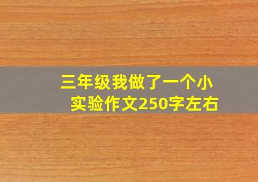 三年级我做了一个小实验作文250字左右