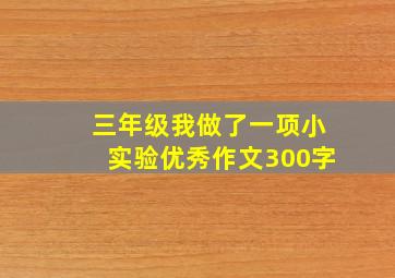 三年级我做了一项小实验优秀作文300字