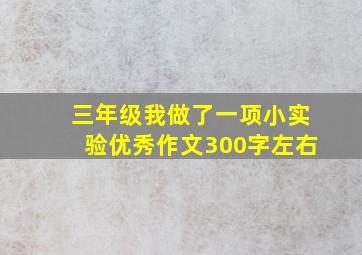 三年级我做了一项小实验优秀作文300字左右