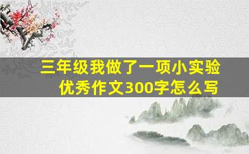 三年级我做了一项小实验优秀作文300字怎么写