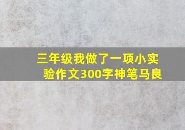 三年级我做了一项小实验作文300字神笔马良