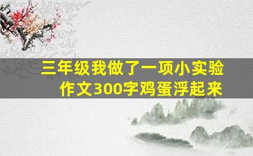 三年级我做了一项小实验作文300字鸡蛋浮起来