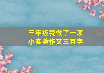 三年级我做了一项小实验作文三百字