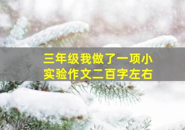 三年级我做了一项小实验作文二百字左右