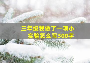 三年级我做了一项小实验怎么写300字