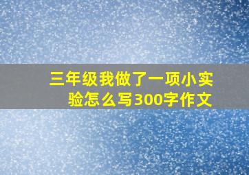 三年级我做了一项小实验怎么写300字作文