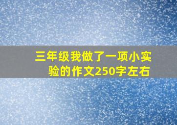 三年级我做了一项小实验的作文250字左右