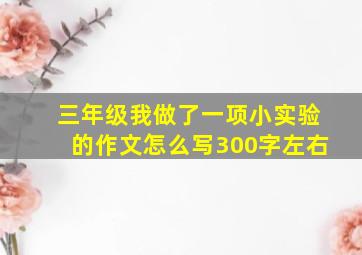 三年级我做了一项小实验的作文怎么写300字左右