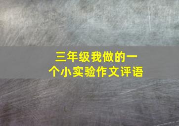 三年级我做的一个小实验作文评语