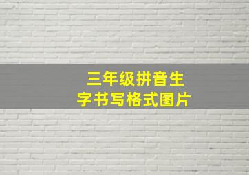 三年级拼音生字书写格式图片