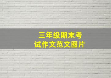 三年级期末考试作文范文图片