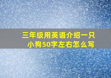 三年级用英语介绍一只小狗50字左右怎么写