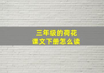 三年级的荷花课文下册怎么读