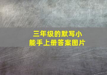 三年级的默写小能手上册答案图片