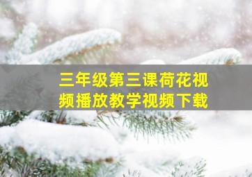 三年级第三课荷花视频播放教学视频下载